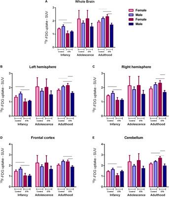 Environmental Tobacco Smoke During the Early Postnatal Period of Mice Interferes With Brain 18 F-FDG Uptake From Infancy to Early Adulthood – A Longitudinal Study